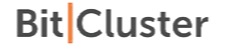 BitCluster